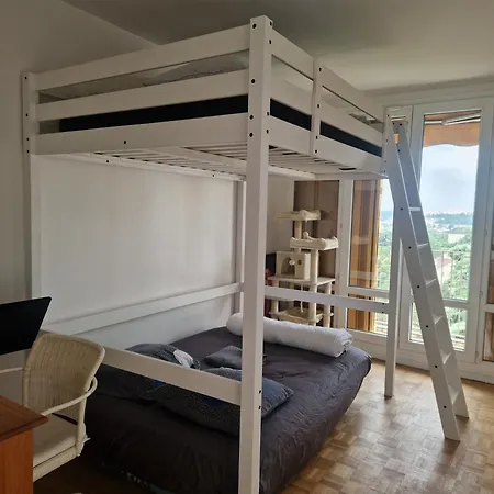 T4/5 Avec Vue Sur Les Alpes A 5 Minutes De Lyon Appartement *